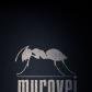 Murovei