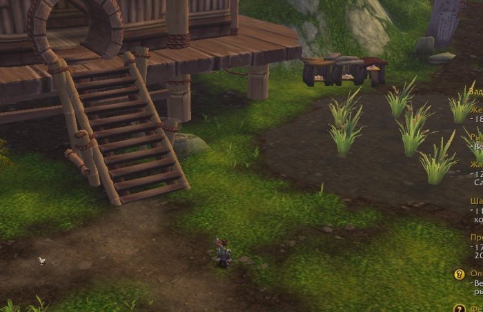 Горная Лапа.jpg