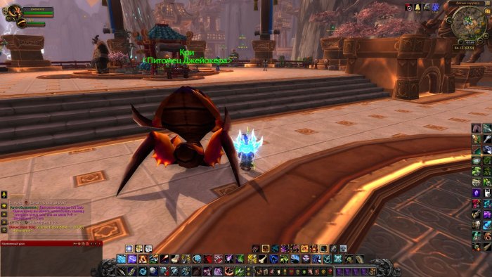 Уменьшение питомца.jpg