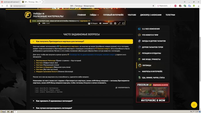 Притвориться мертвым для питомца.jpg