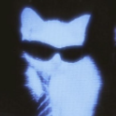 Faxy