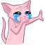 Cat Cry
