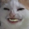 hehw